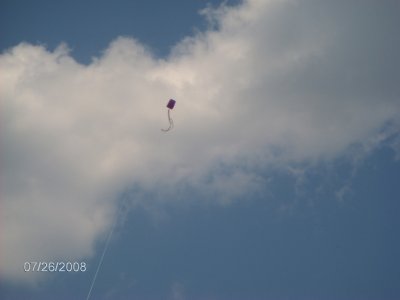pix_078_ae3j_002 (13K)