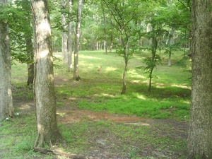 /pix/pix_100_km6mm_005.jpg