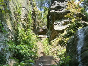 /pix/pix_101_km6mm_001.jpg