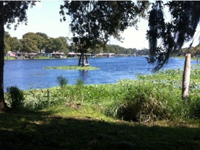 pix_173_flchapter_004 (44K)